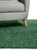 Shaggy szőnyeg Swirls Green 80x150 cm